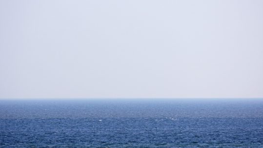 mare
