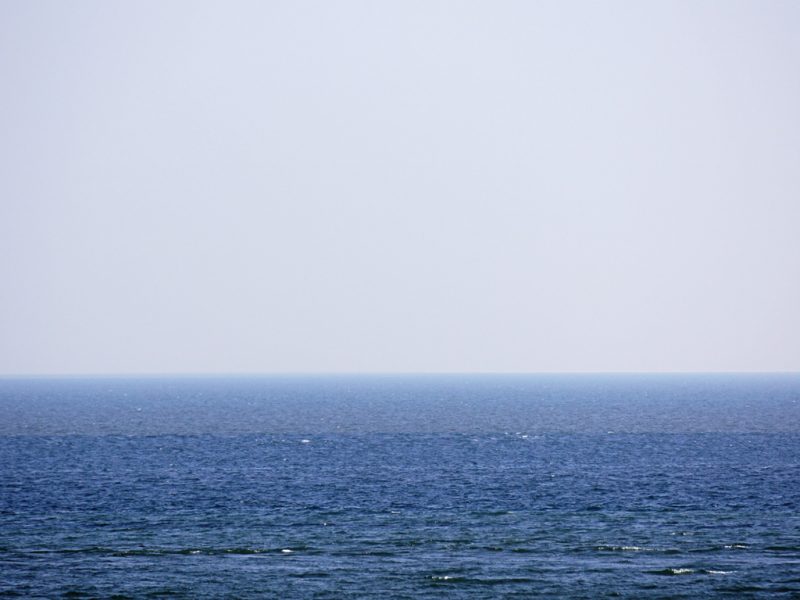 mare