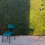 grünes licht