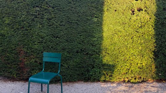 grünes licht