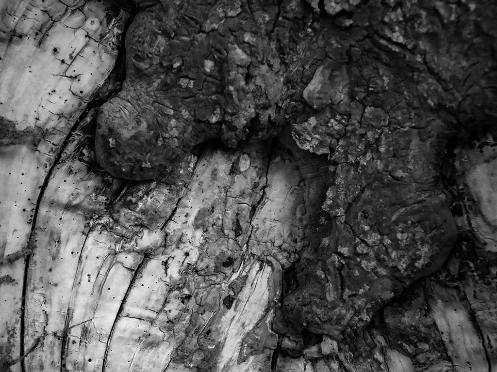 wald3
