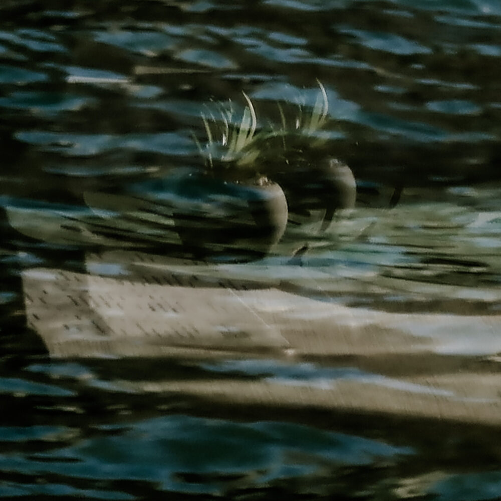 surreal waters-26