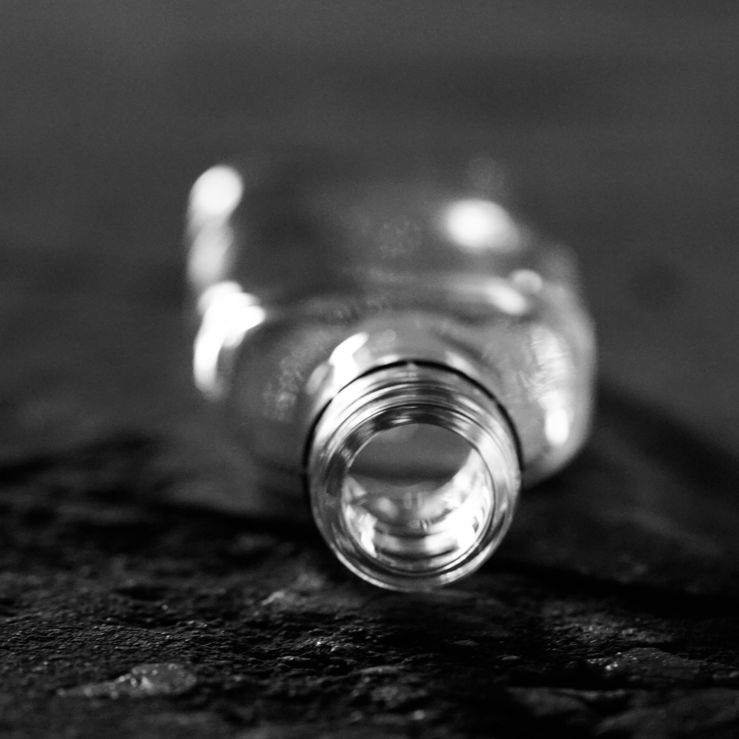 cosmos_barreti (45 von 8)