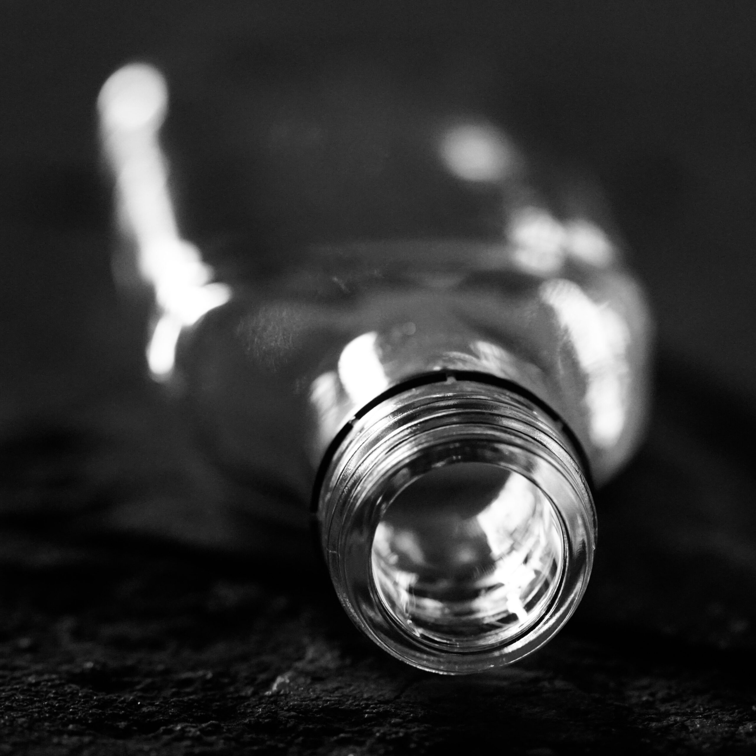 cosmos_barreti (47 von 8)