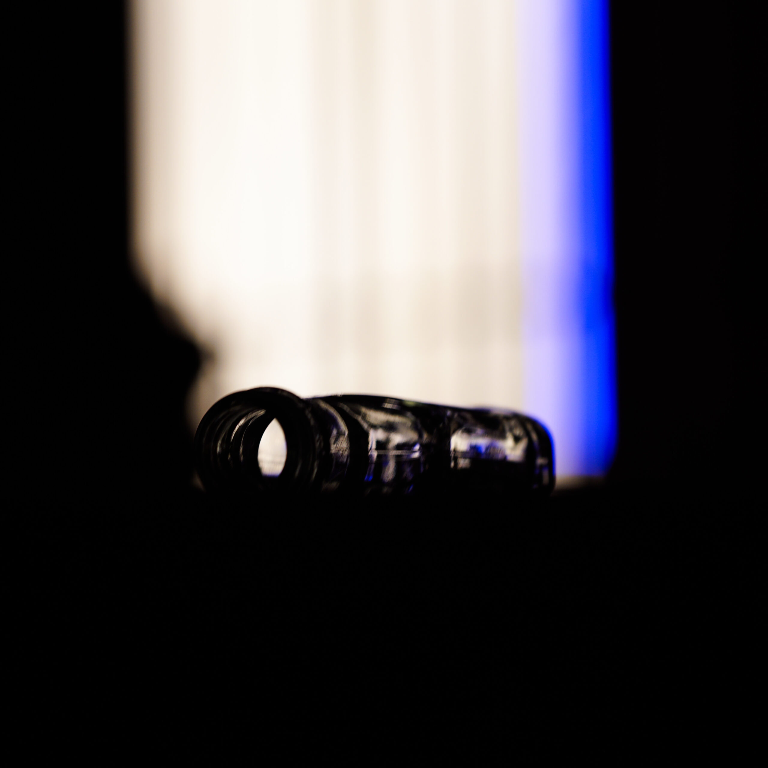 cosmos_barreti (50 von 8)