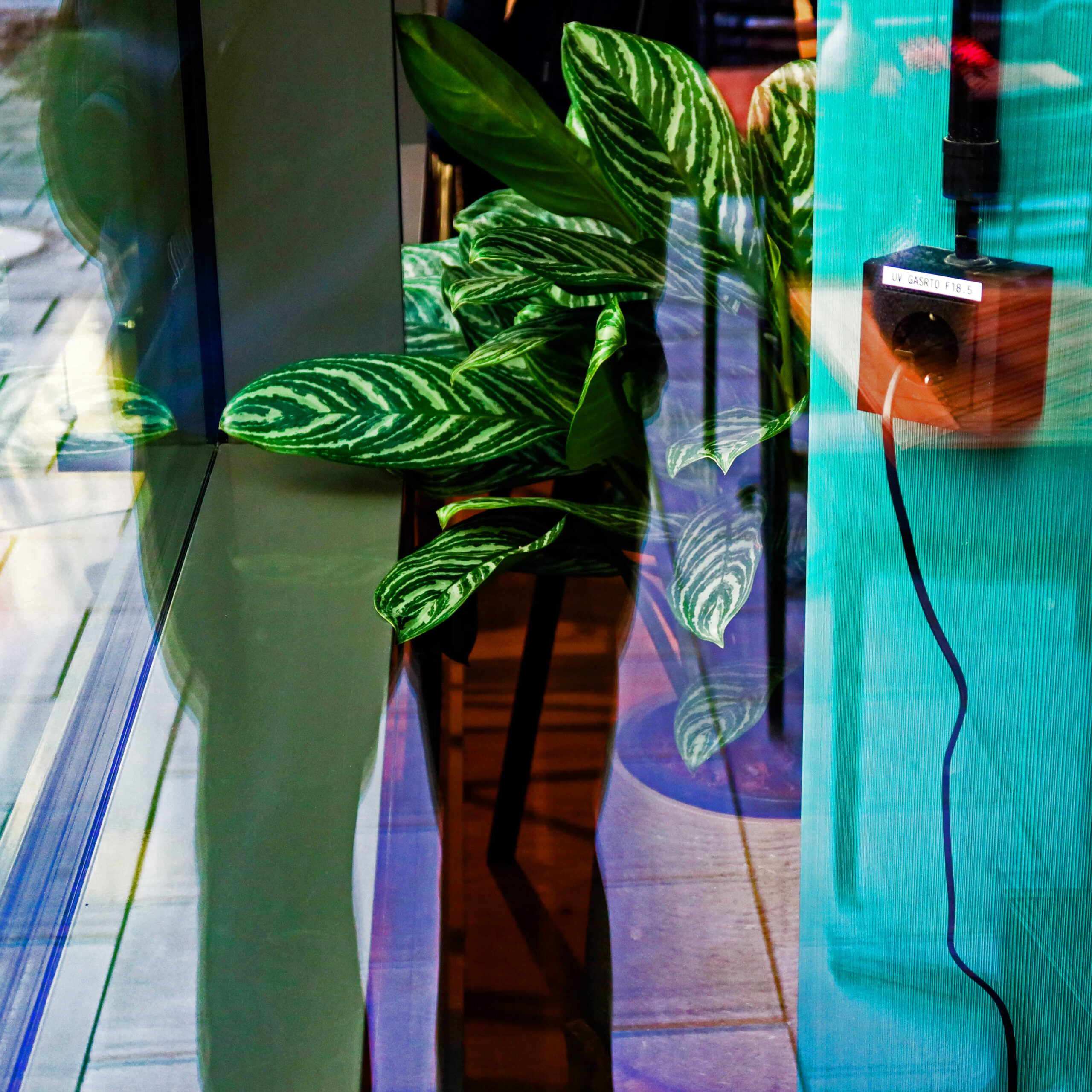 surrfebruar (23 von 45) Kopie