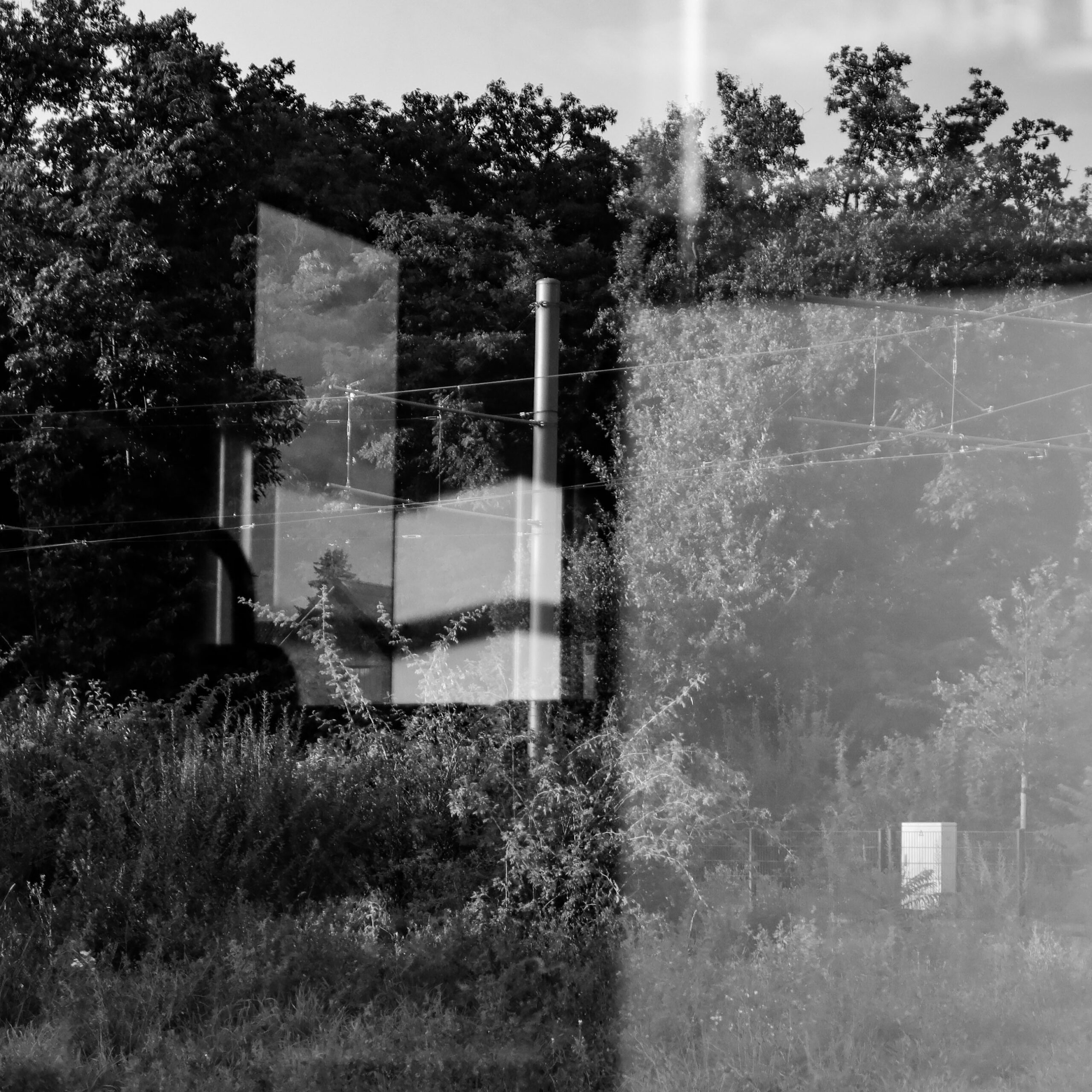 surrplus (130 von 1)